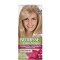 Garnier Cor intensa Tono 9.13
