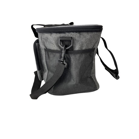 Bolso lunchera conservador de alimentos Arye 15 litros Gris