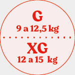 G/XG