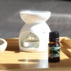 Aceite 10ml hornito Vainilla