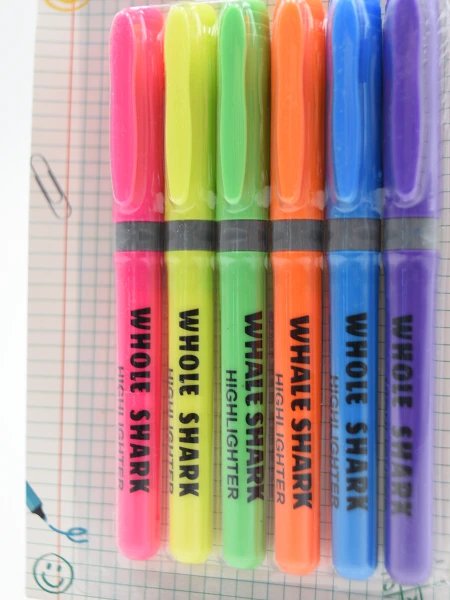 RESALTADORES x 6 MULTICOLOR