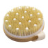 Cepillo Corporal Dry Brush Exfoliante Circulación Celulitis Cepillo Corporal Dry Brush Exfoliante Circulación Celulitis