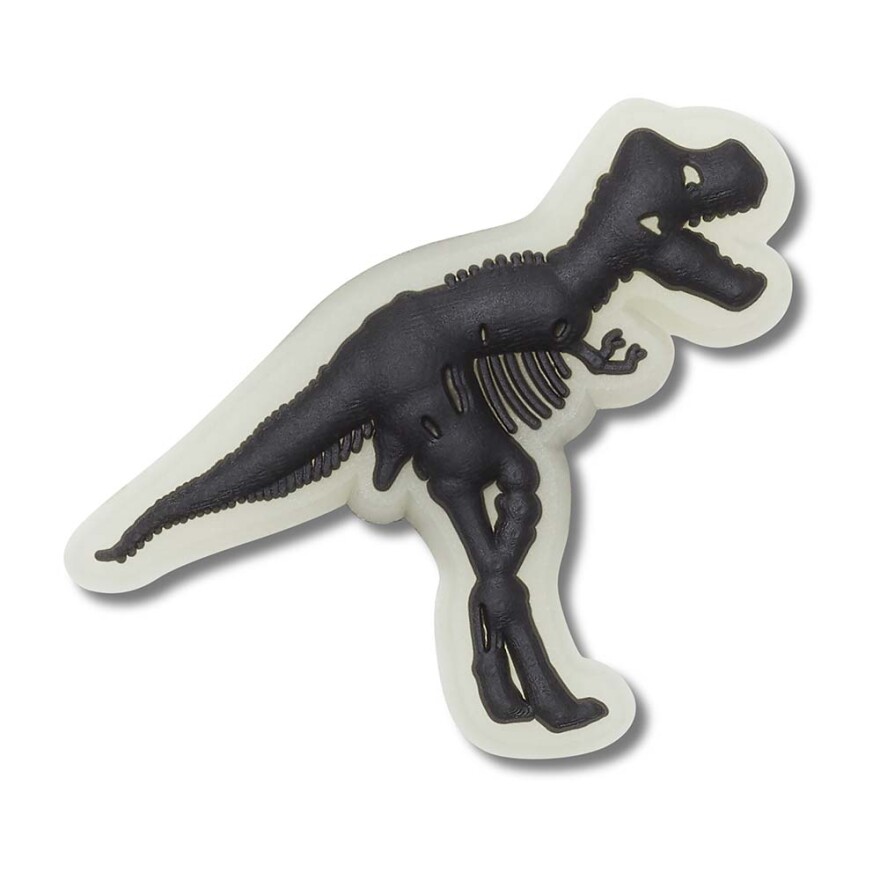 Glow In The Dark Dino Multicolor