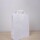 Bolsa lisa acuario 22x10x30 cm BLANCO