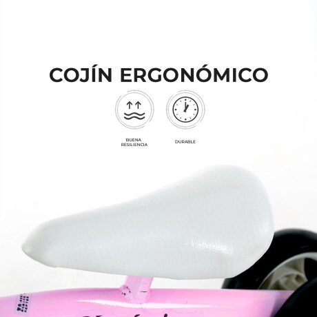 Bicicleta De Equilibrio Buggy Niños S/Pedal Triciclo Rosa