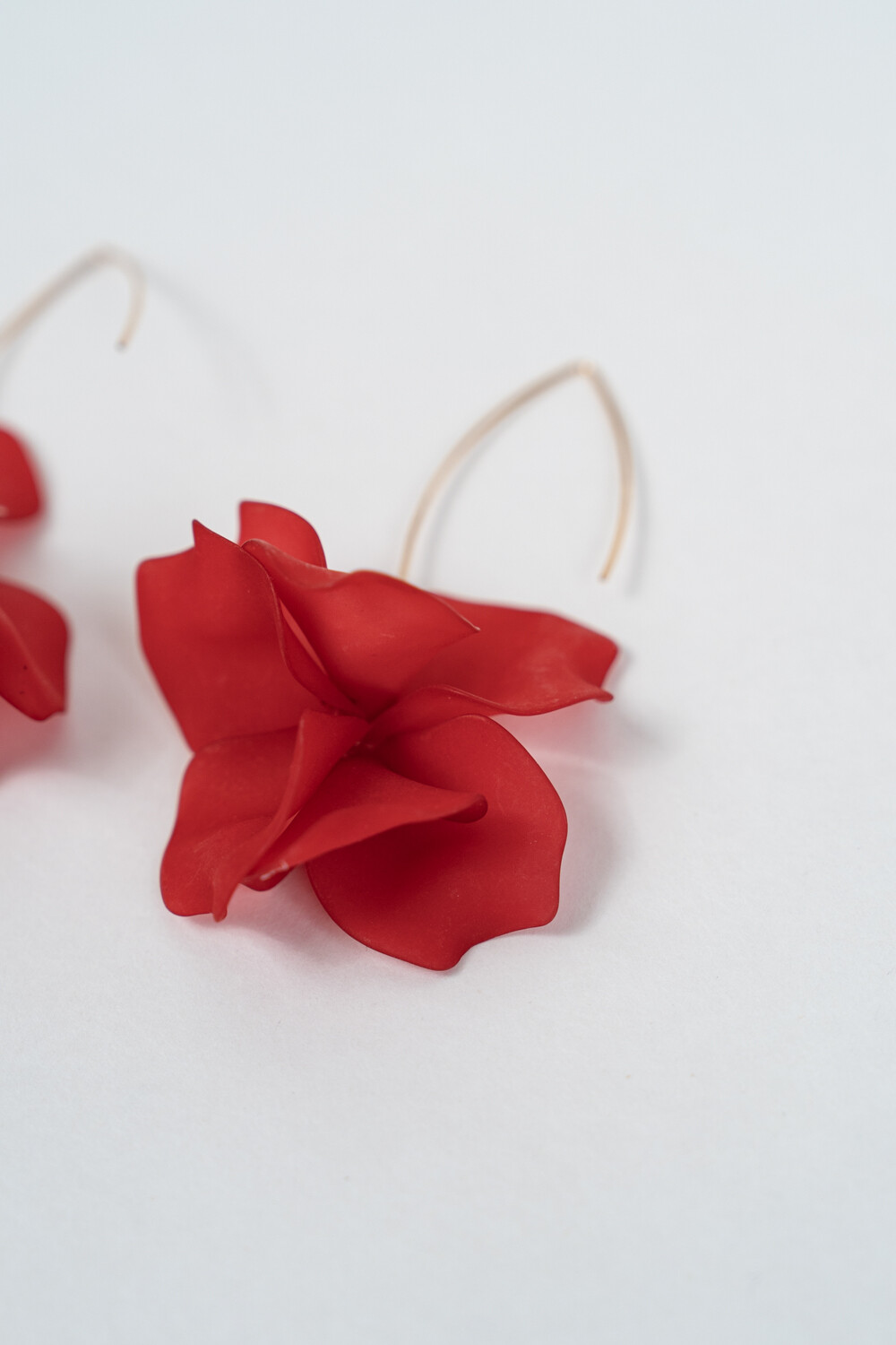 Caravana Liro Estampado 6