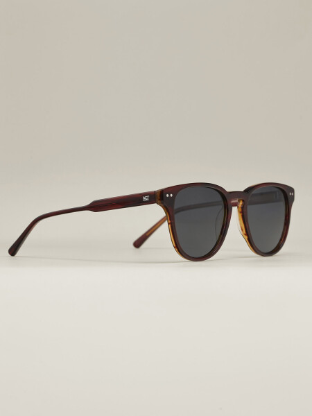 SUNGLASSES CHRIS CAREY C1