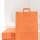 Pack x 50 - bolsa lisa 34x17x48 cm NARANJA