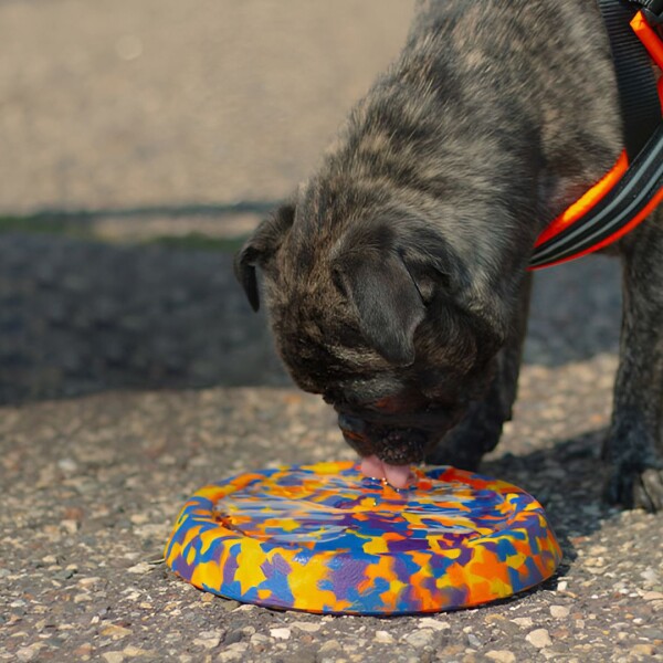 Juguete Para Perro Frisbee Disco Mascota Resistente Calidad Color Variante Amarillo