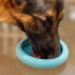 Plato Alfombra Lamer Anti Ansiedad Estres Comida Perro Gato Variante Color Celeste