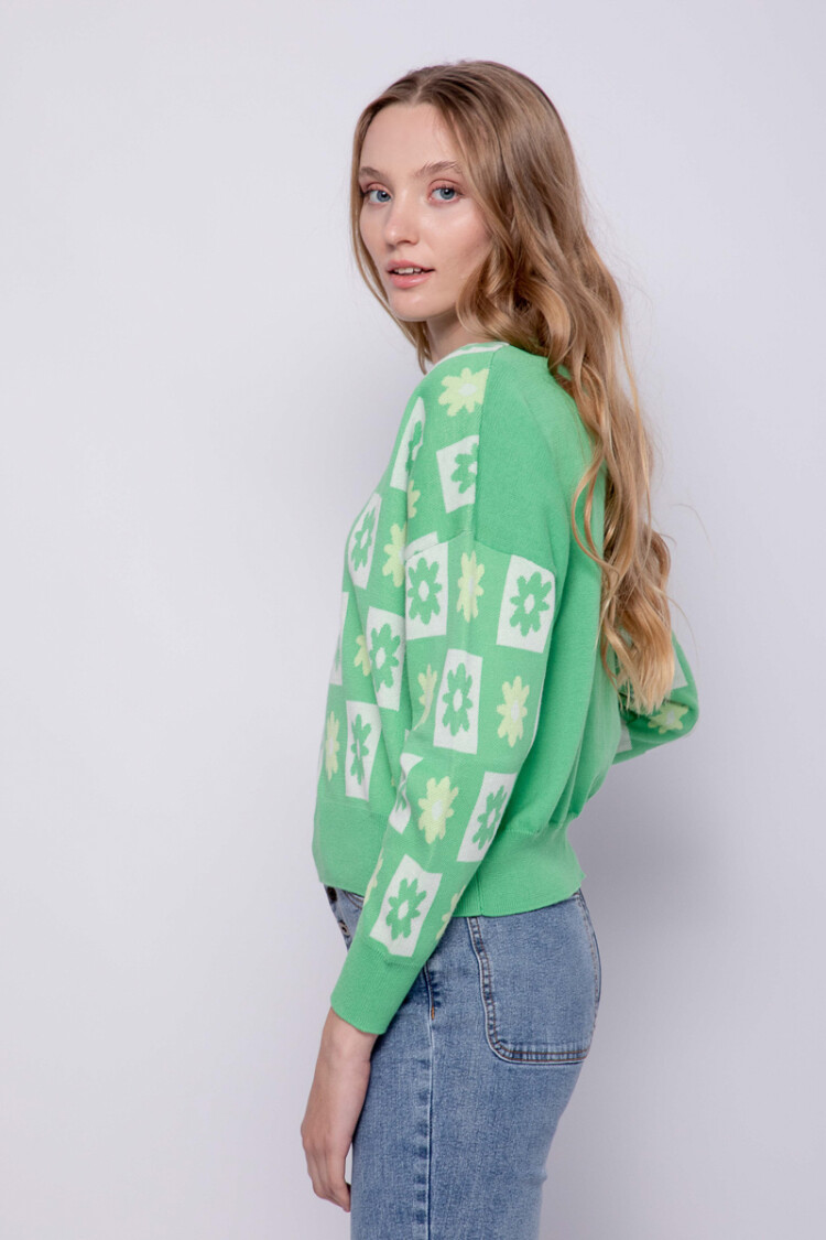 SWEATER LUSITANO Verde