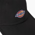 Gorro Dickies Low Pro Logo Dad Negro