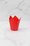 Tulipa 15x5 cm ROJO