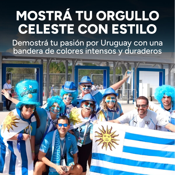 Bandera Pabellón Nacional de Uruguay Grande 120x180cm Color Blanco y Azul