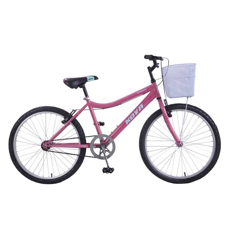 BICICLETA DE MONTAÑA KOVA ANDES RODADO 24 - ROSA MATE Bicicleta De Montaña Kova Andes Rodado 24 - Rosa Mate
