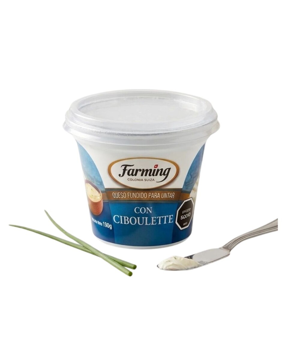 QUESO UNTABLE CIBOULETTE 190G 