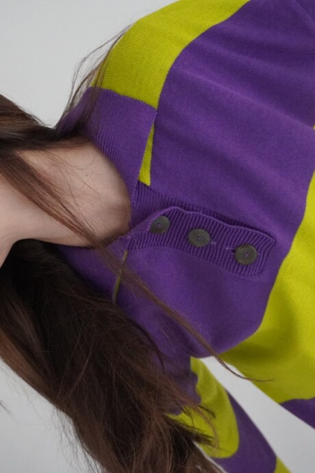 Heritage Sweater Violeta / Pistacho