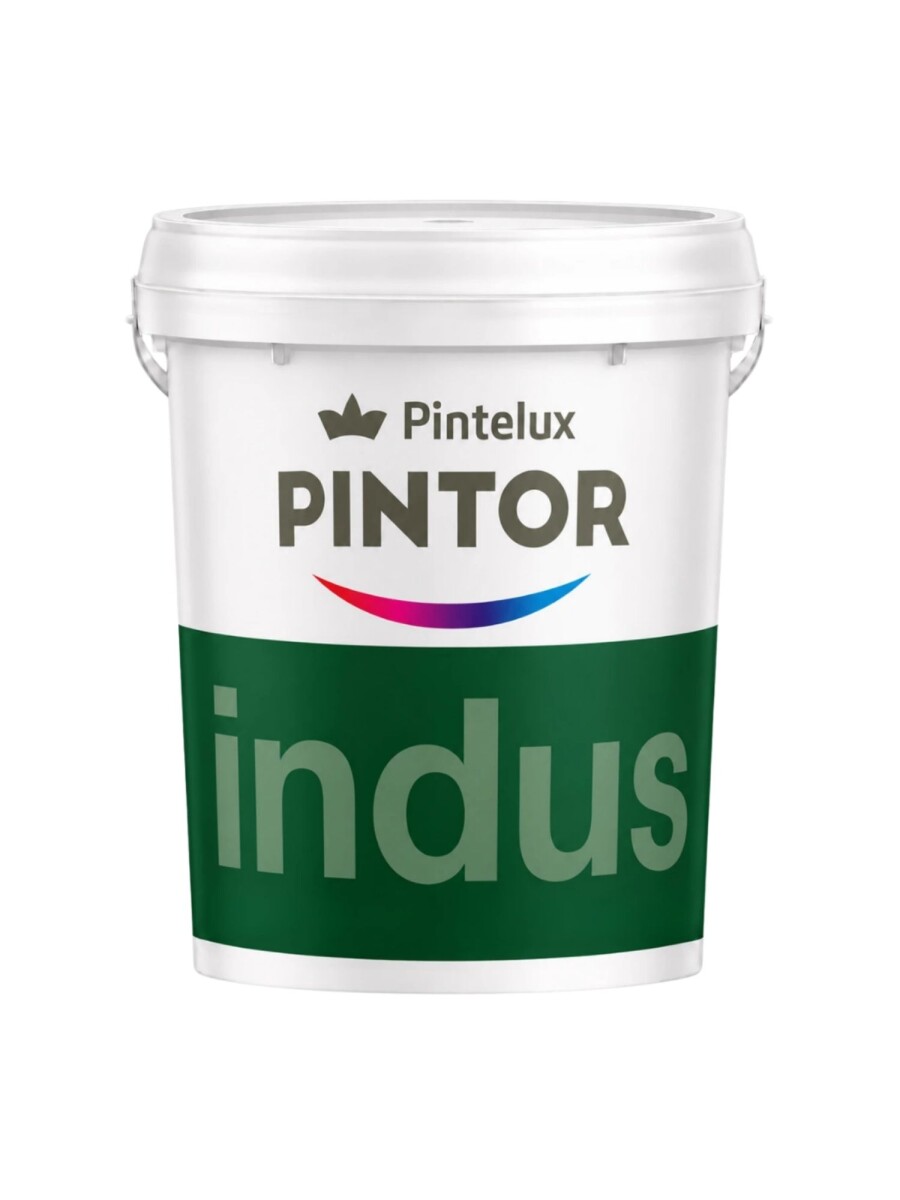 PINTOR PAVIMENTO GRAFITO - 18LTS 