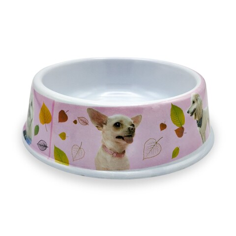 Plato Comida Agua Mascota Perros Gatos Comedero Bebedero Variante Color Rosa