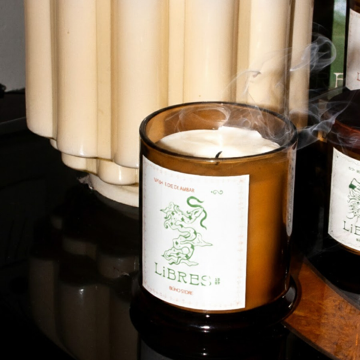 Vela aromática Bosque de Santal 280g 