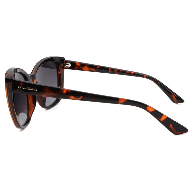 Lentes de Sol Chilli Beans Florida Cat Animal Print