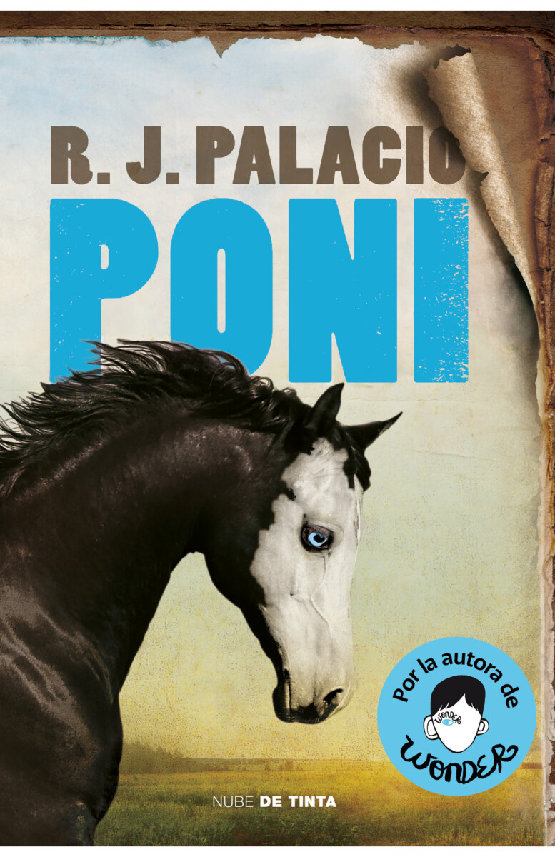 Poni 