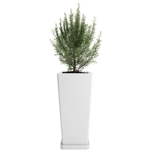 Macetero Piramidal 45 Blanco c/Plato, Alto 45cm x 21.5cm Ancho Boca x 15.6 Base, 20 lts Macetero Piramidal 45 Blanco c/Plato, Alto 45cm x 21.5cm Ancho Boca x 15.6 Base, 20 lts