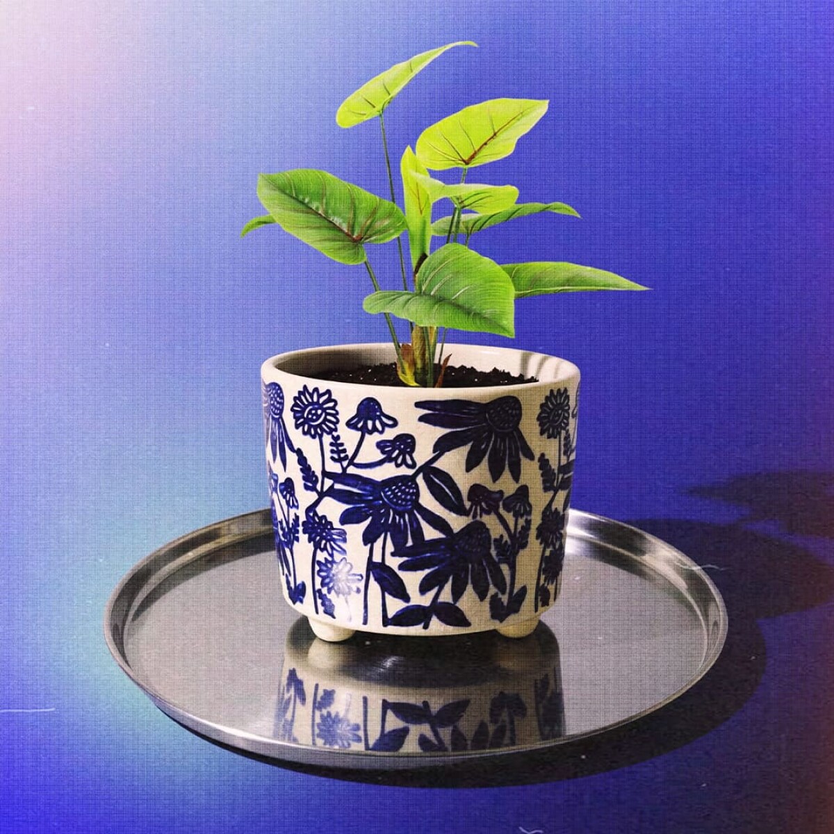 Maceta de cerámica Silvestre 