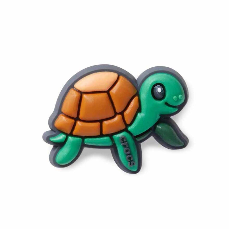 Jibbitz Pet Turtle Multicolor