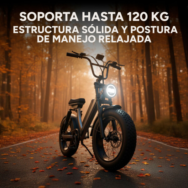 Bicicleta Electrica GoGreen Road Rueda Ancha 350w Bat 10Ah Color Negro