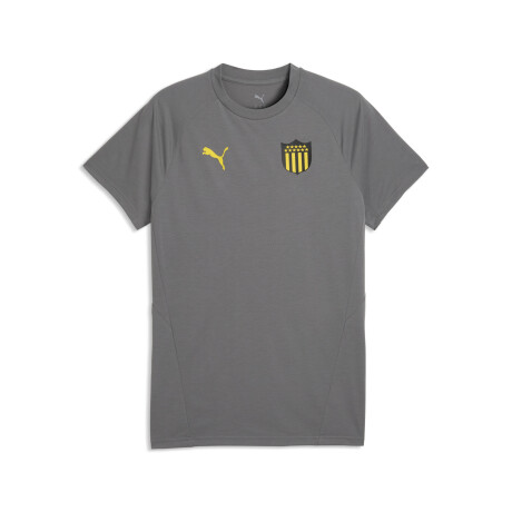 CAP Tee 78653305 Gris