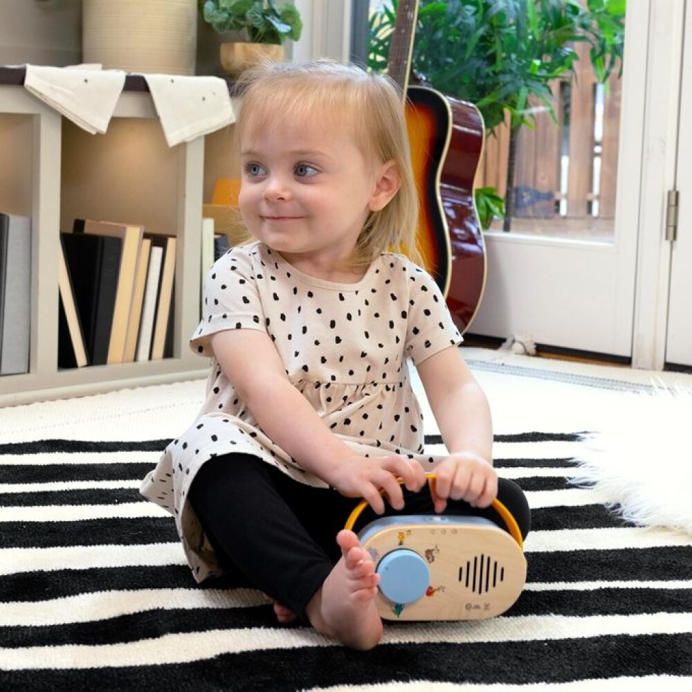 radio magic touch baby einstein HAPE radio magic touch baby einstein HAPE