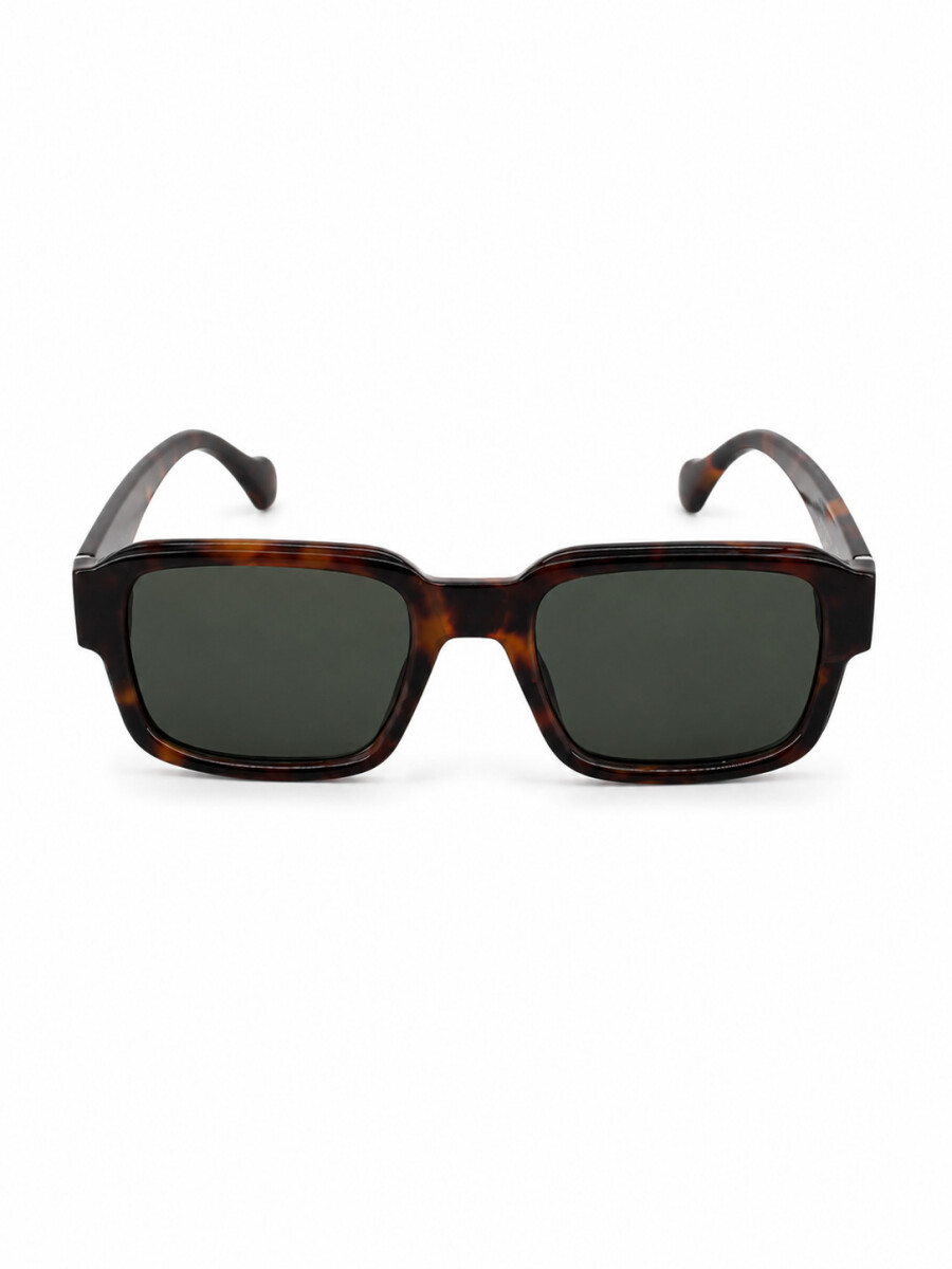 LENTE LONDON - MARRON 