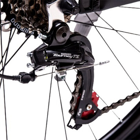 Bicicleta Randers Montaña 21V R29 Rosa S 001