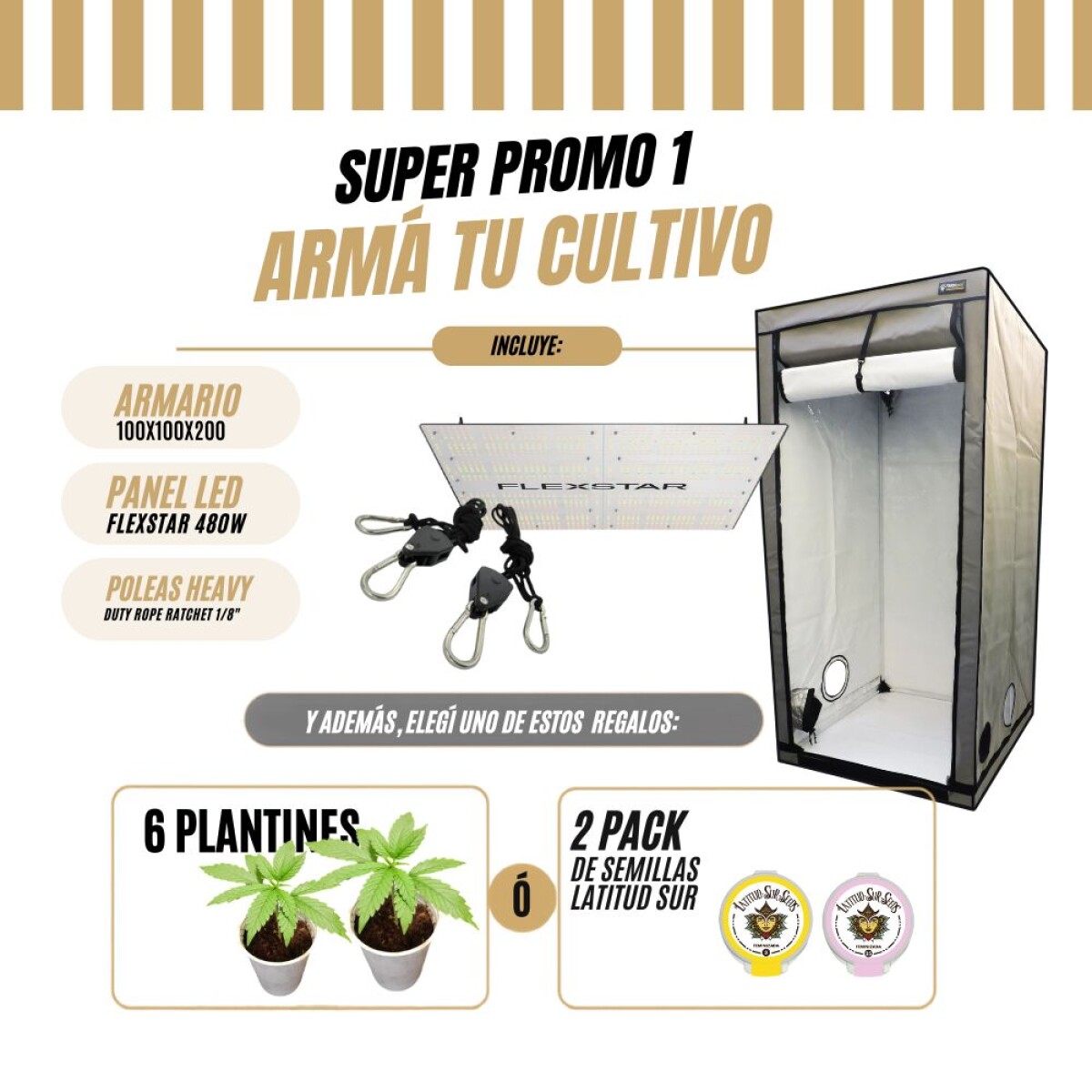 Promo 1 / SETUP COMPLETO PARA ARRANCAR TU CULTIVO 