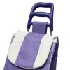 Carro de Compras con Ruedas Purple