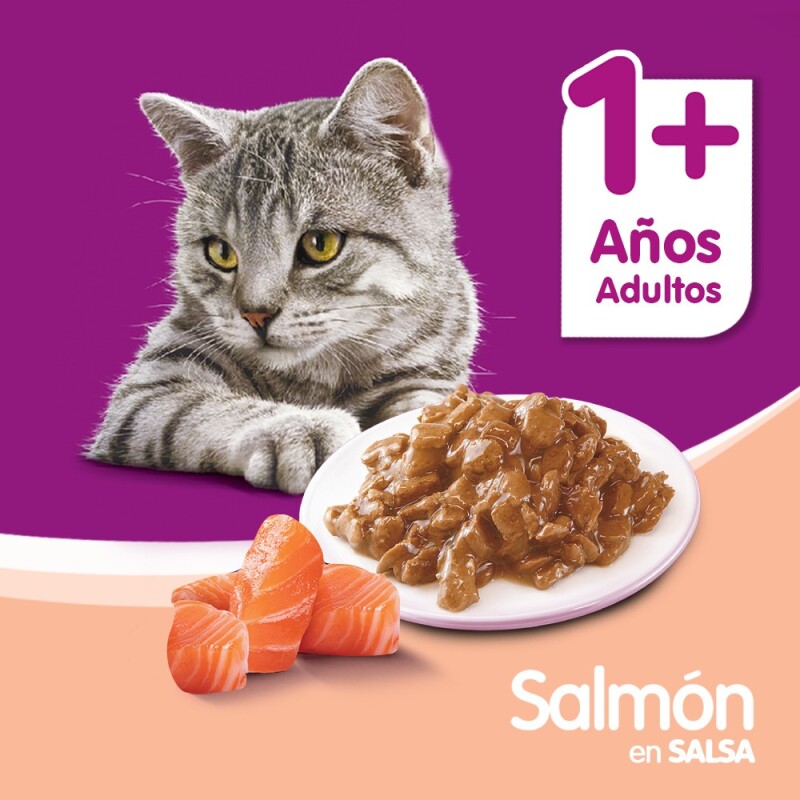 WHISKAS EN SALSA DE SALMON ALIMENTO HUMEDO 85 GR