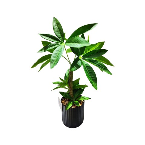 Planta artificial decorativa Planta artificial decorativa