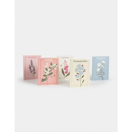 Set De 5 Libretas A6 Cosidas En Cajita Combinacion Multicolor