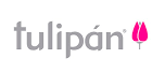 Tulipan