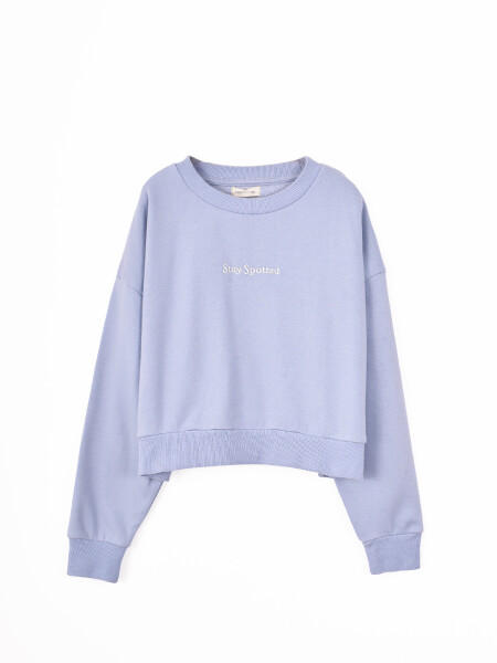 BUZO ZELDA II CELESTE