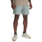 UA Vanish Woven 6in Shorts-GRN GRN-348