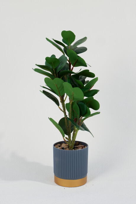 Planta Ficus 40cm Color Unico