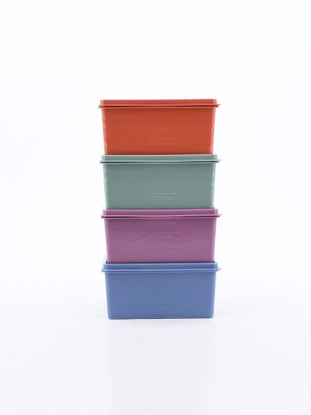 CONTENEDOR SET 4 PCS MULTICOLOR