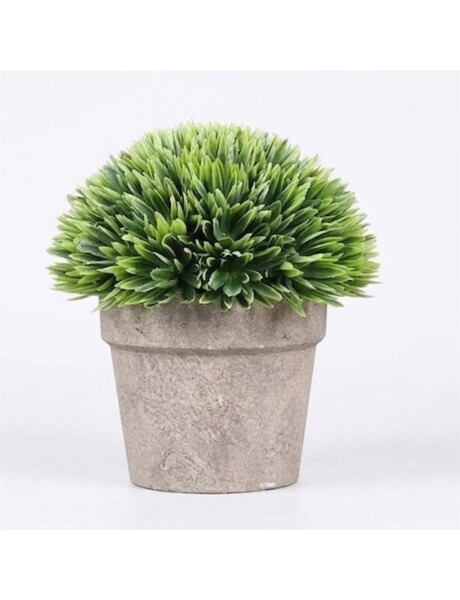 PLANTA LOTO EN MACETA H18X14CM PLANTA LOTO EN MACETA H18X14CM