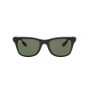 Ray Ban Rb4195-m F602/71