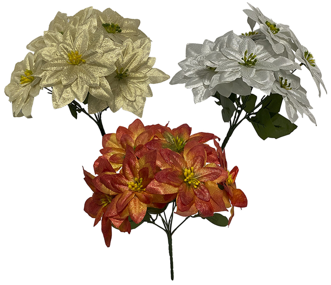 FLOR ESTRELLA FEDERAL RAMO 24596 