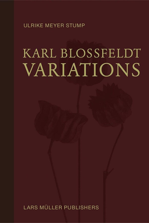 Karl Blossfeldt Variations Karl Blossfeldt Variations