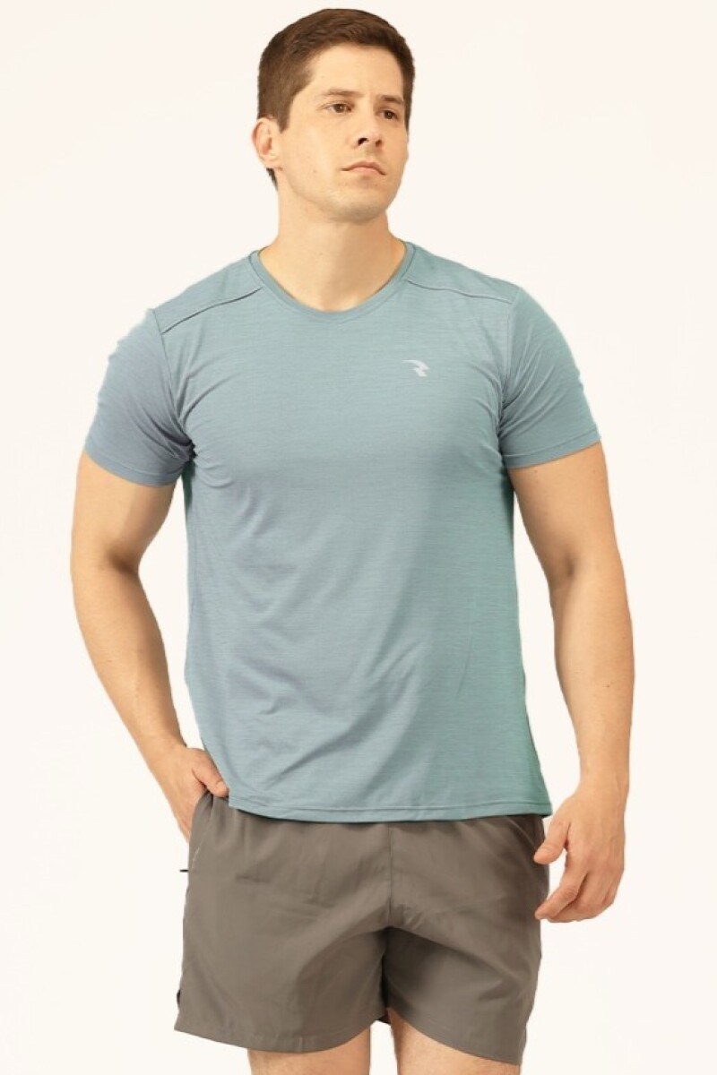 Remera de Microfibra. Remera de Microfibra.