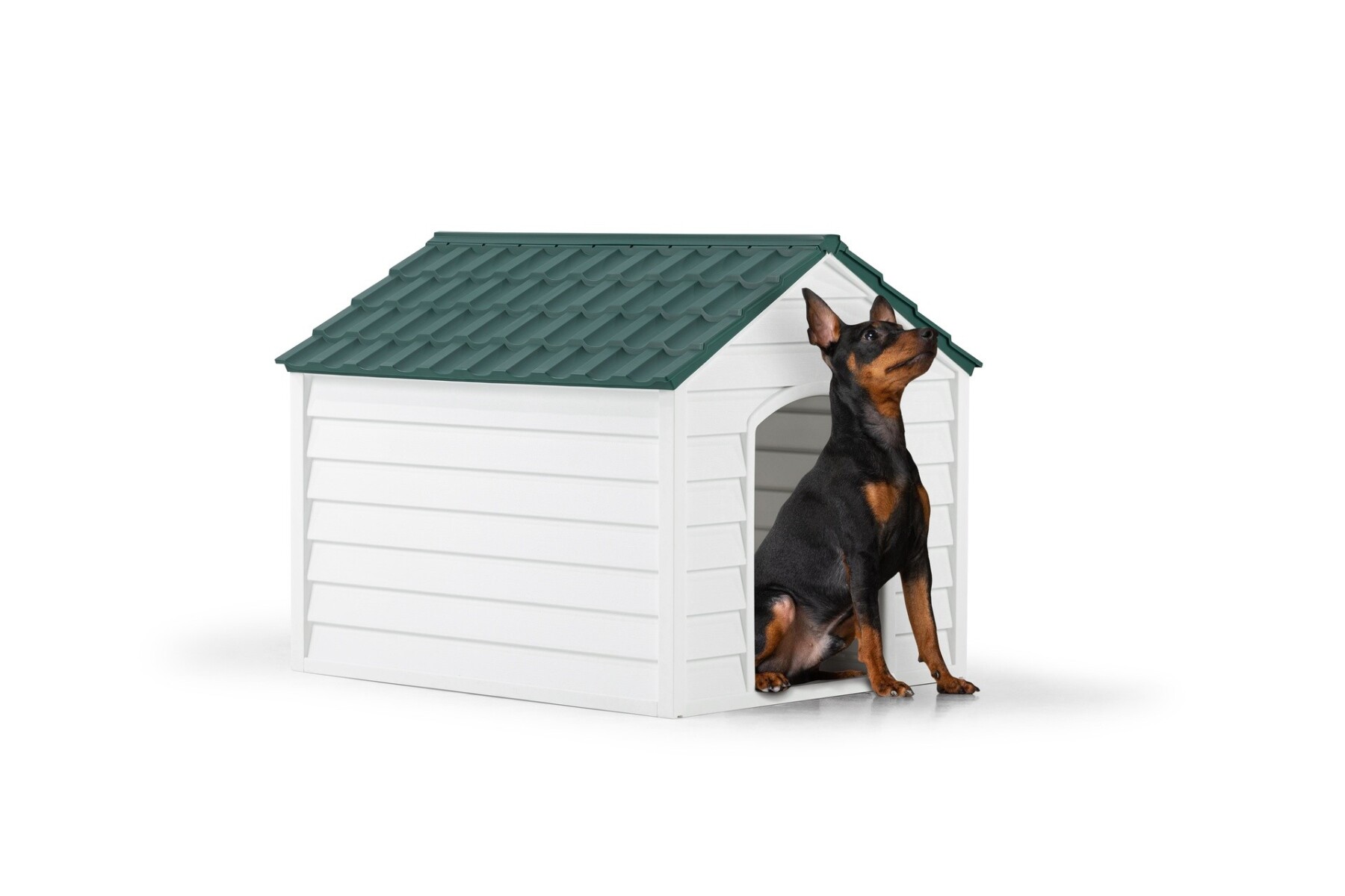 5100 DOG KENNEL WHITE / GREEN 